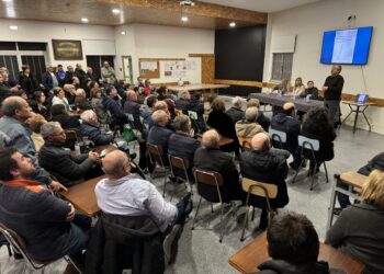 Marinha Grande reafirma exigência de isenção de portagens nos pórticos da A8