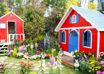 Tenha um jardim seguro e protegido neste verão: dicas imperdíveis