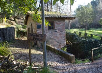 ABAD organiza acção de limpeza do Parque do Pisão
