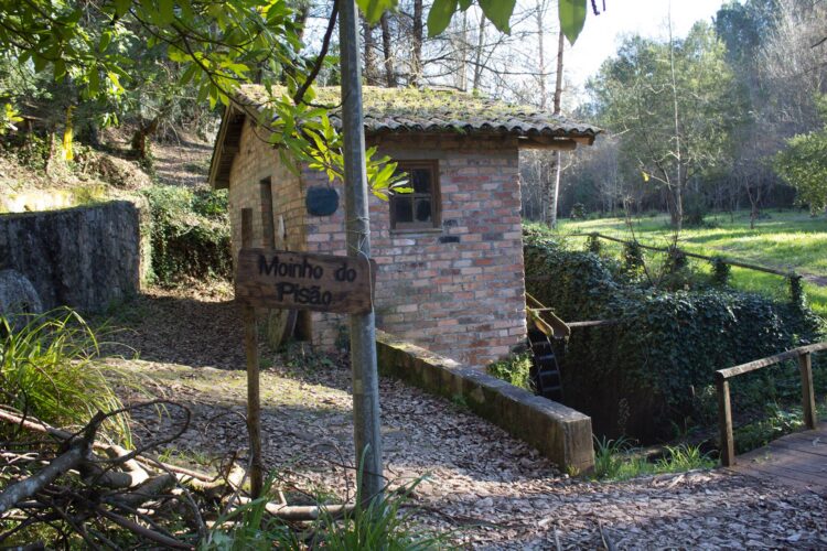 ABAD organiza acção de limpeza do Parque do Pisão
