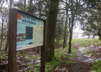 Neve regressa a Castanheira de Pera