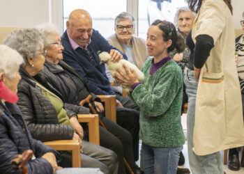Animais espalham sorrisos em lares e escolas de Porto de Mós