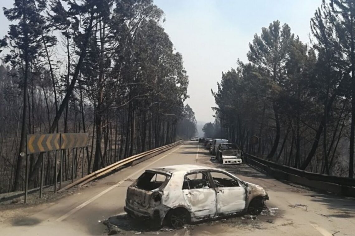 Jovens de Leiria e Último Recurso unidos pela justiça climática nos tribunais