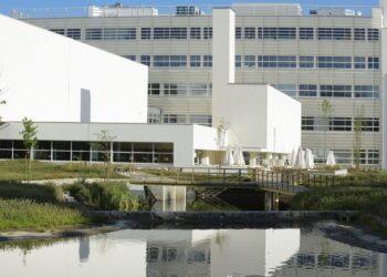 Ciberataques e crise financeira são os principais riscos para as empresas nacionais