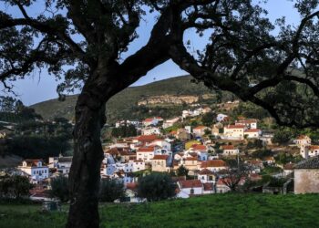 Projecto do Orçamento Participativo da Batalha vence sem ser votado