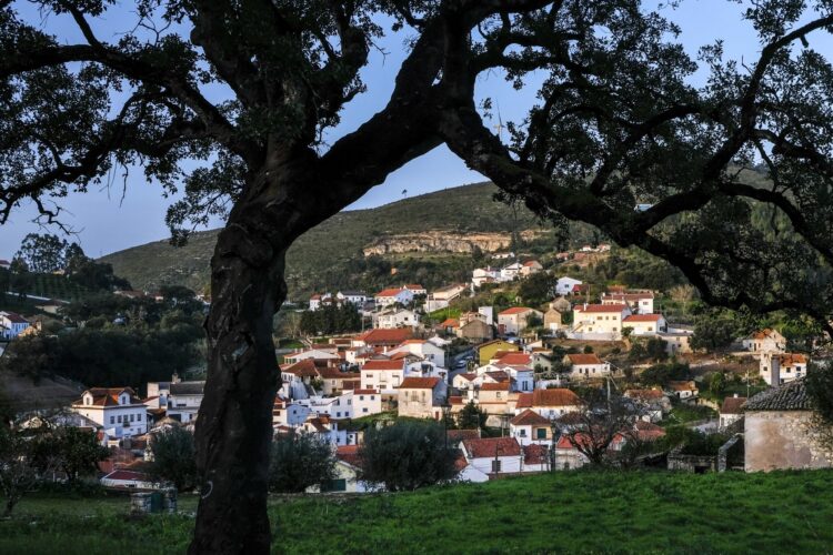 Projecto do Orçamento Participativo da Batalha vence sem ser votado