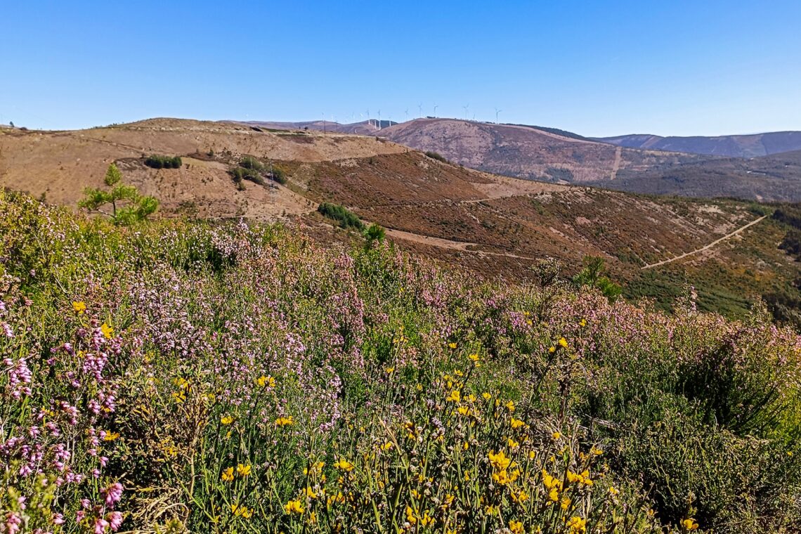 Rota da Primavera dá a conhecer Castanheira de Pera