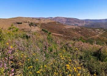 Rota da Primavera dá a conhecer Castanheira de Pera