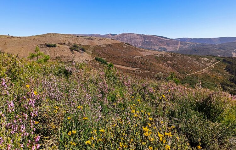 Rota da Primavera dá a conhecer Castanheira de Pera
