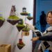Exposições: Entre Espaços
