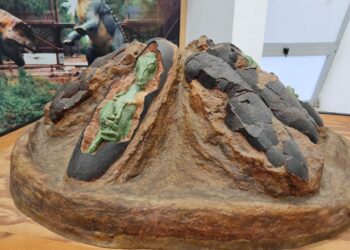 I Festival Geoparque Oeste celebra dinossauros, gastronomia e biodiversidade entre 21 e 25 de Maio