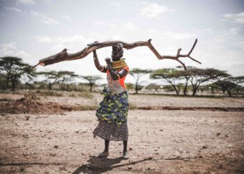 Hádoc. Entre as Chuvas mostra a seca em África através do conflito entre tribos rivais
