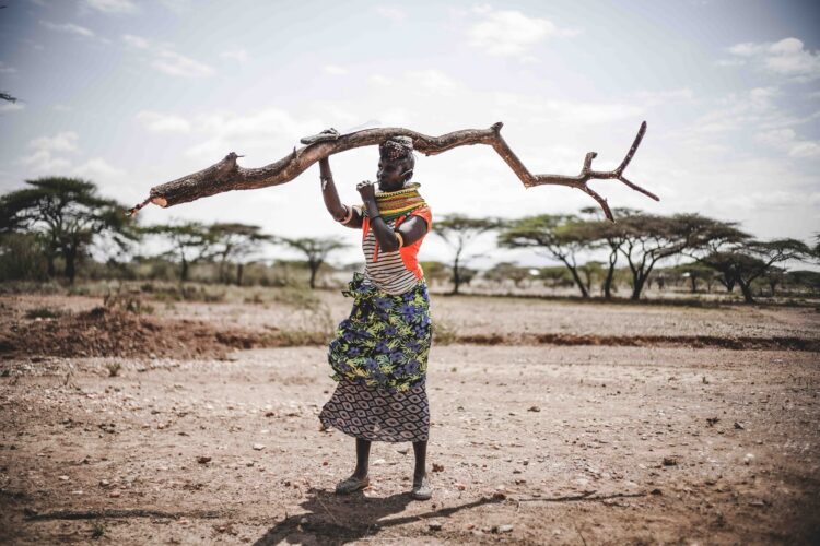Hádoc. Entre as Chuvas mostra a seca em África através do conflito entre tribos rivais