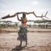 Hádoc. Entre as Chuvas mostra a seca em África através do conflito entre tribos rivais