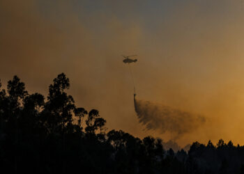 Incêndios: Região de Leiria com 471 operacionais, 113 viaturas e três meios aéreos no período crítico
