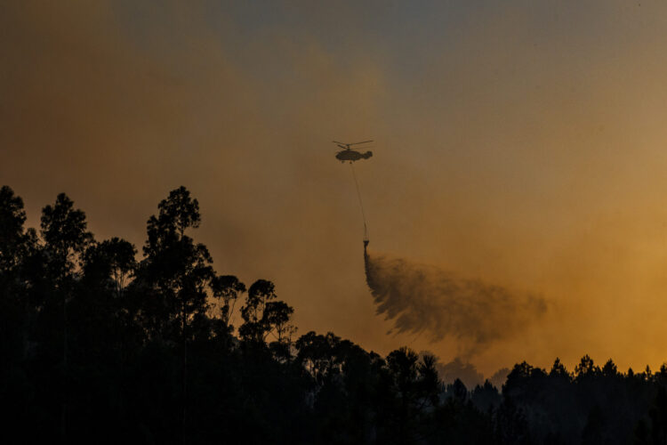 Incêndios: Região de Leiria com 471 operacionais, 113 viaturas e três meios aéreos no período crítico