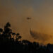 Incêndios: Região de Leiria com 471 operacionais, 113 viaturas e três meios aéreos no período crítico