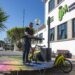 Sábados de rock. A pedalar estrada fora, os concertos do Instituto Jovens Músicos chegam na bicicleta que também é palco