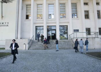 Pedrógão Grande: Tribunal Constitucional rejeita recurso no processo da reconstrução das casas