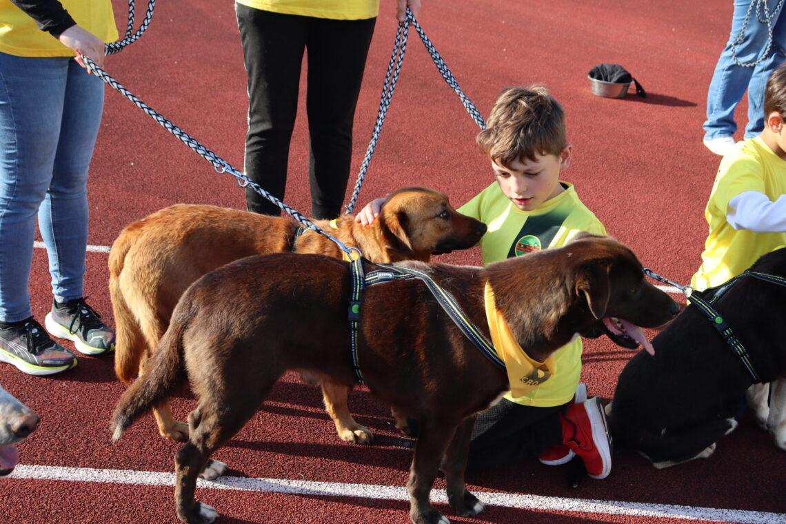 Marinha Grande celebra Dia da Criança com Cãominhada