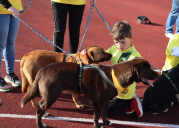 Marinha Grande celebra Dia da Criança com Cãominhada