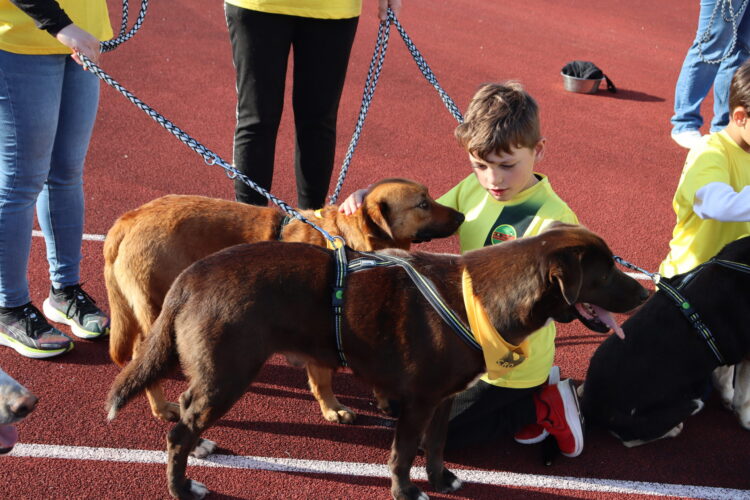 Marinha Grande celebra Dia da Criança com Cãominhada