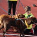 Marinha Grande celebra Dia da Criança com Cãominhada