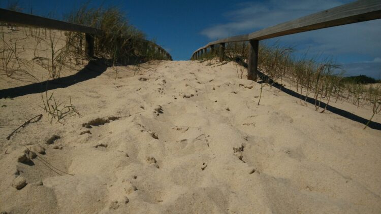Marinha Grande investe nos passadiços de praia