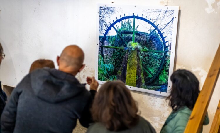 Exposições: As Voltas do Moinho