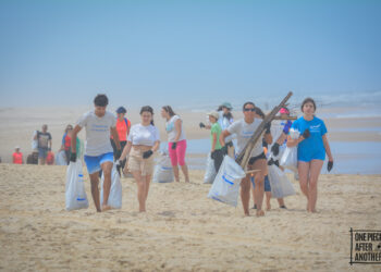 Voluntários recolhem 110 quilos de resíduos na praia da Vieira