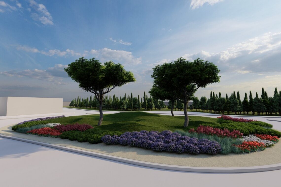 Pinheiros mansos vão decorar Rotunda do Vidreiro em homenagem ao pinhal da região