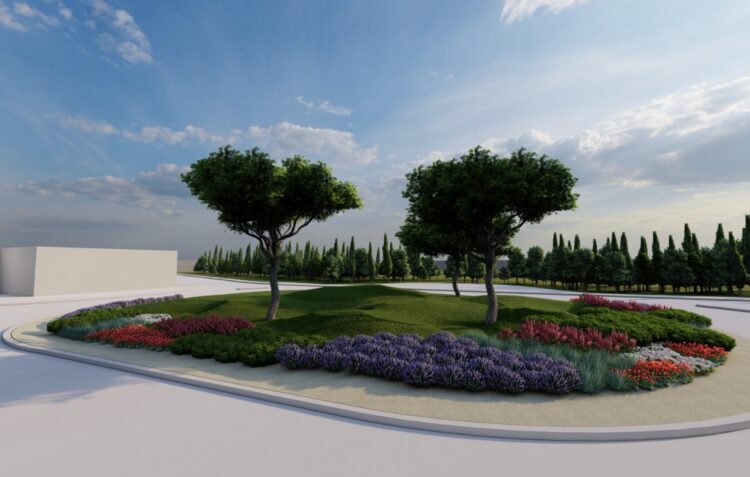 Pinheiros mansos vão decorar Rotunda do Vidreiro em homenagem ao pinhal da região
