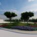Pinheiros mansos vão decorar Rotunda do Vidreiro em homenagem ao pinhal da região