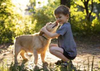 Cães terapeutas ajudam crianças com necessidades educativas específicas