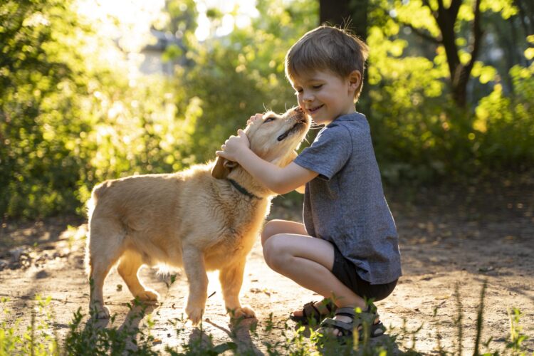 Cães terapeutas ajudam crianças com necessidades educativas específicas