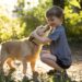 Cães terapeutas ajudam crianças com necessidades educativas específicas