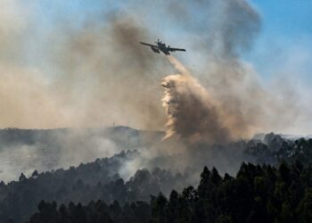 Incêndios: Bombeira no quadro de reserva de Pedrógão Grande julgada por dois crimes