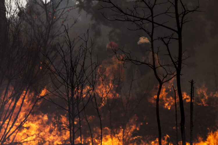 Pedrógão Grande: Tribunal da Relação confirma absolvição dos arguidos no processo dos incêndios