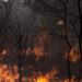 Pedrógão Grande: Tribunal da Relação confirma absolvição dos arguidos no processo dos incêndios