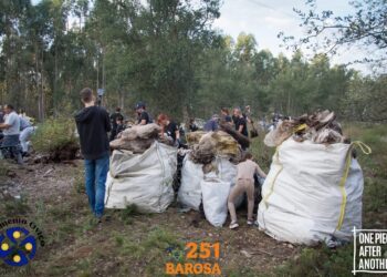 Movimento Cívico organiza limpeza ao pinhal da Barosa