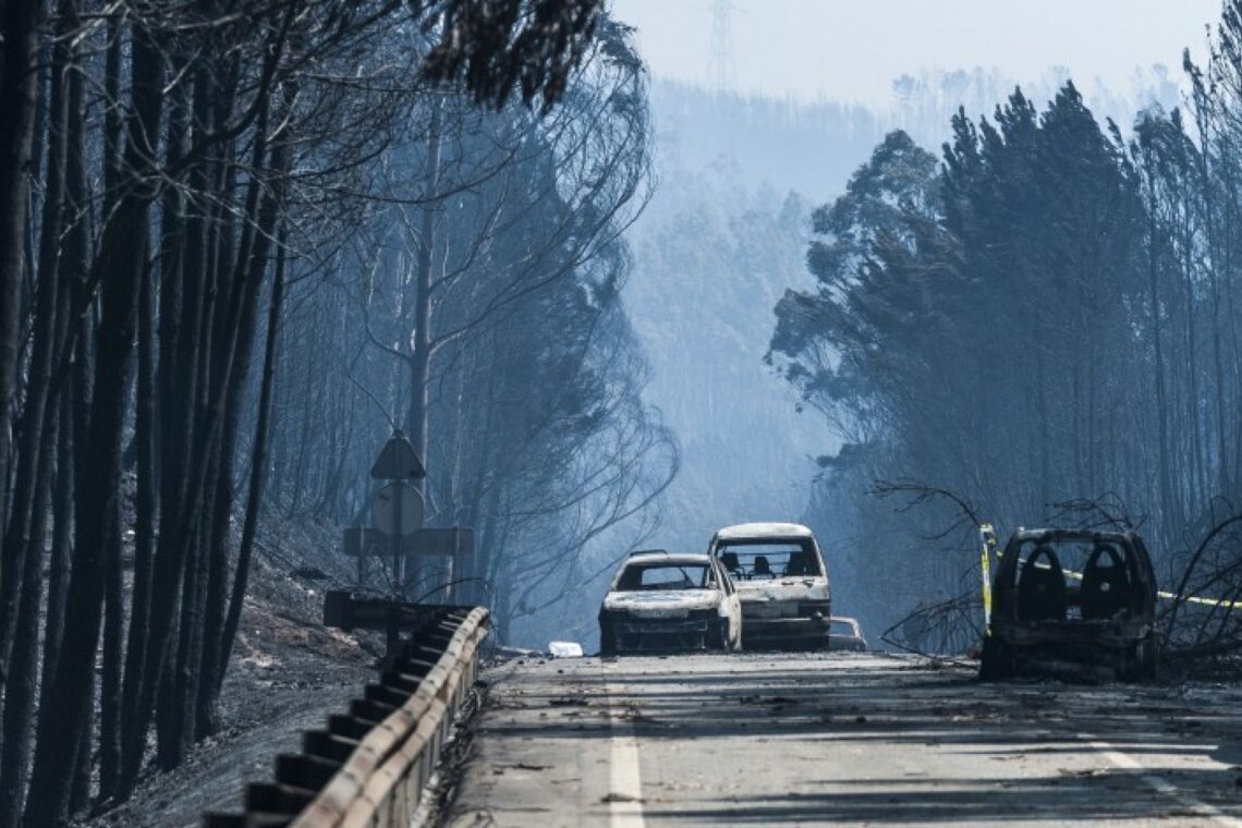 Pedrógão Grande: Associação de vítimas assinala oito anos da tragédia dos incêndios