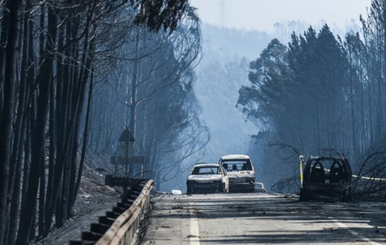 Pedrógão Grande: Associação de vítimas assinala oito anos da tragédia dos incêndios