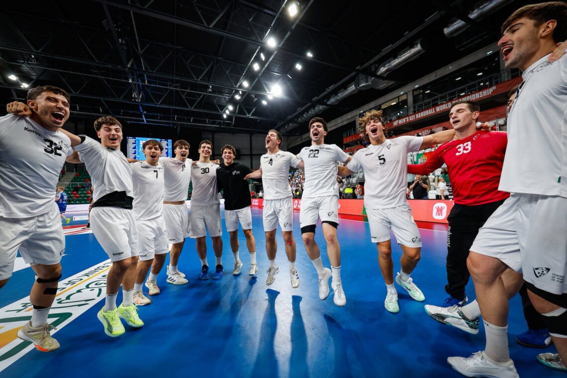 Diogo Campos na final do Mundial de Andebol entre Portugal e Dinamarca