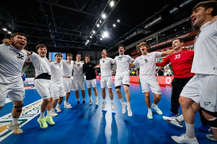 Diogo Campos na final do Mundial de Andebol entre Portugal e Dinamarca