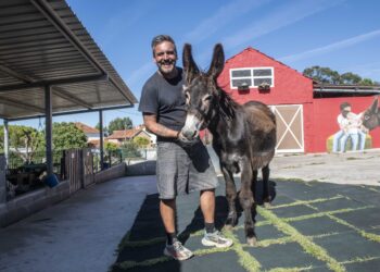Cantinho dos Burros junta perto de uma centena de animais numa quinta em Leiria