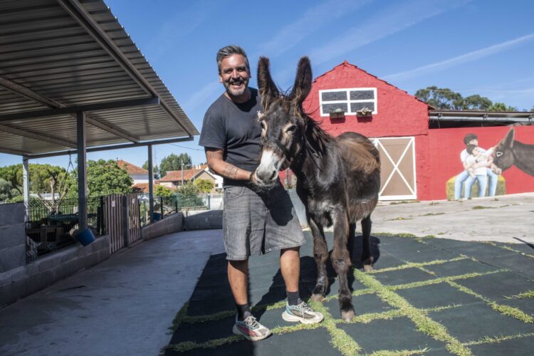 Cantinho dos Burros junta perto de uma centena de animais numa quinta em Leiria