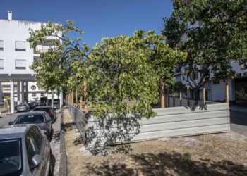 Moradores contestam destruição de zona verde para construir creche nos Marrazes