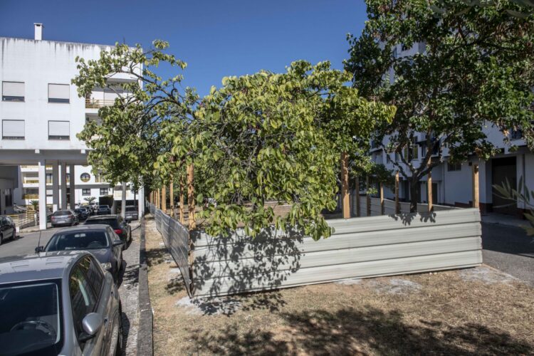 Moradores contestam destruição de zona verde para construir creche nos Marrazes
