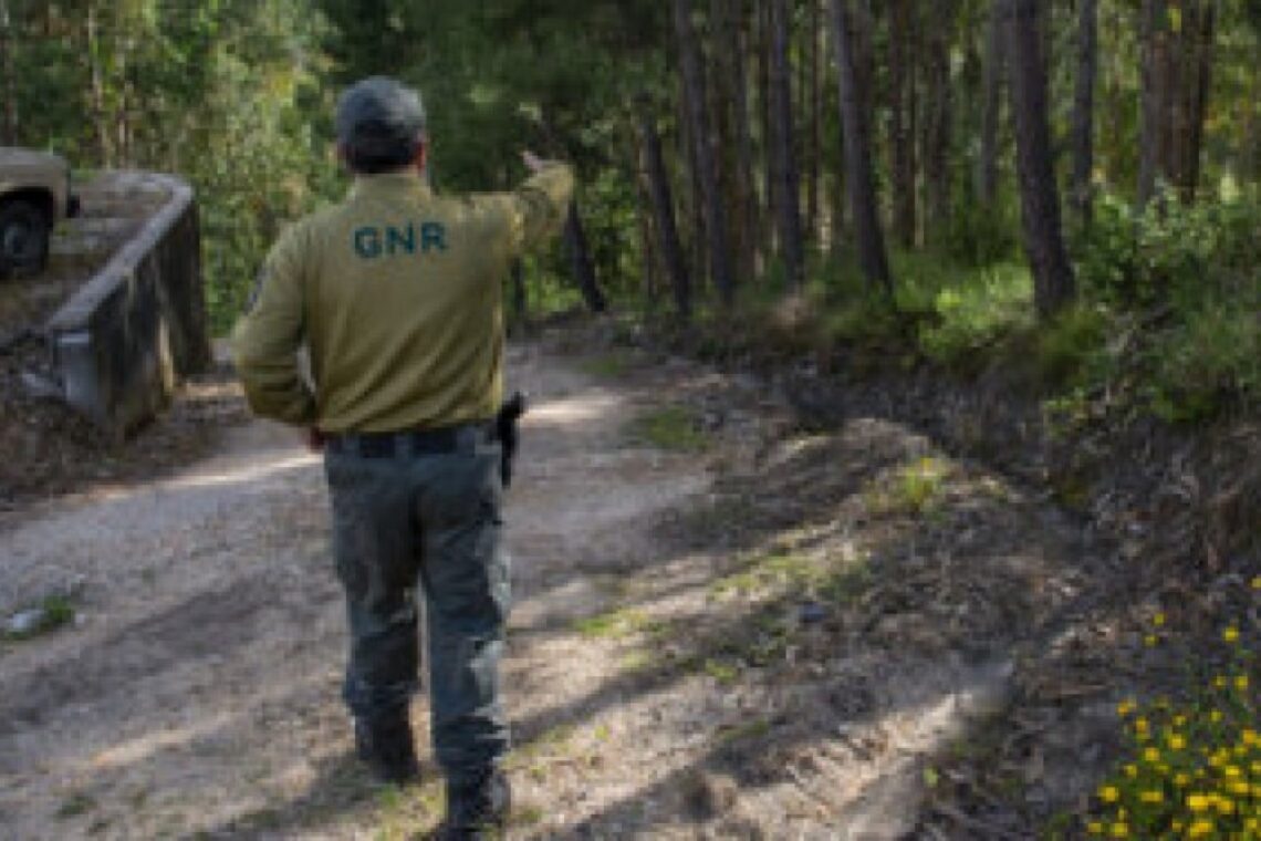 GNR detém homem que fazia queimada não autorizada