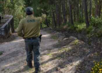 GNR detém homem que fazia queimada não autorizada